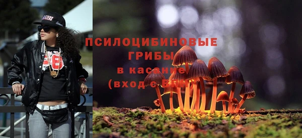 МДПВ Армянск