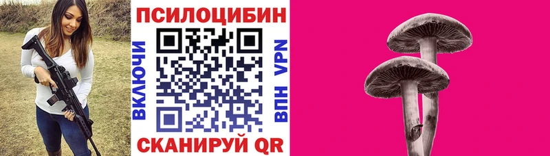 Псилоцибиновые грибы мухоморы  маркетплейс состав  Сальск  ОМГ ОМГ ТОР 